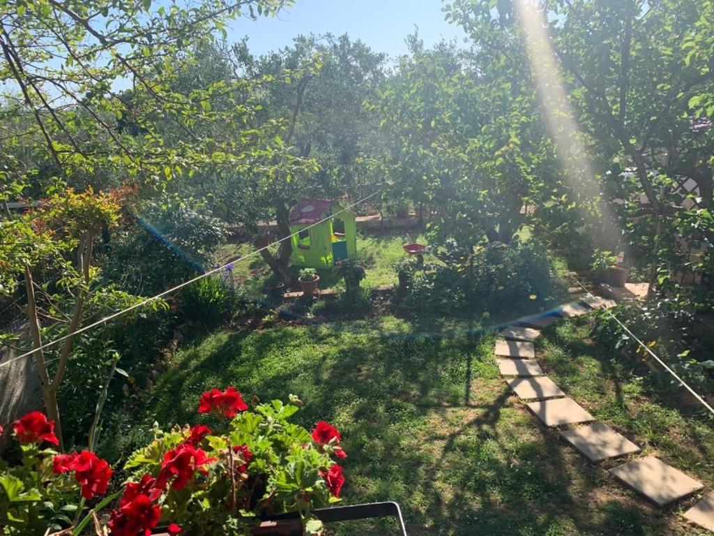 Apartman Dalija Vinkuran Exterior photo